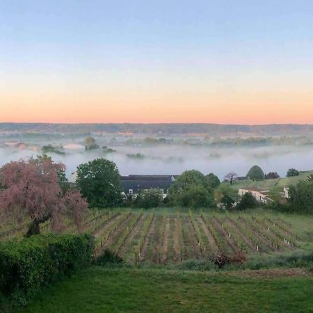 Maison Vue Panoramique Depuis Le Coteau De Chinon Buitenkant foto